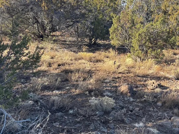 N 8387 Mesa Redondo, Concho, AZ 85924