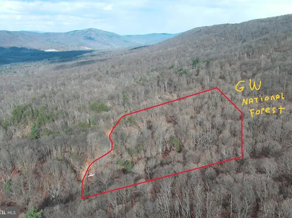 NULLF Black Bear Ln, Mathias, WV 26812