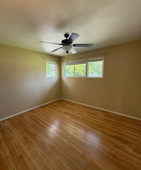 3320 W Rosewood Ave — Photo 6