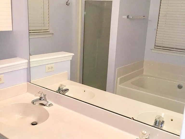 Master bathroom, separate tub and shower