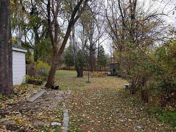 Huge yard with mature trees
