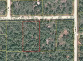 5661 Ironwood Ave, Bunnell, FL 32110