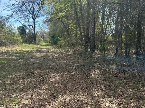 0 Cochran Hwy #0, Hawkinsville, GA 31036