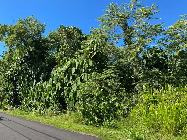 N Papai St, Pahoa, HI 96778