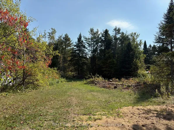 0 The Ave, Kawartha Lakes, ON K0M 2A0