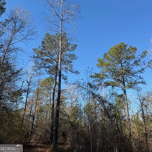 2nd image of / Hut Rd
