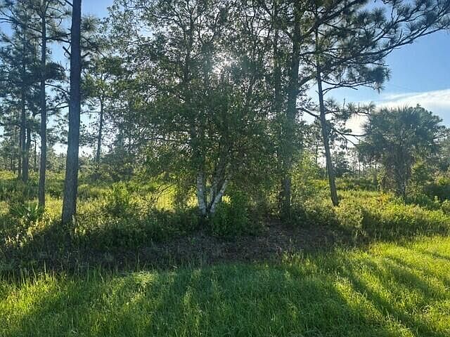 2nd image of 0 N Hwy 441