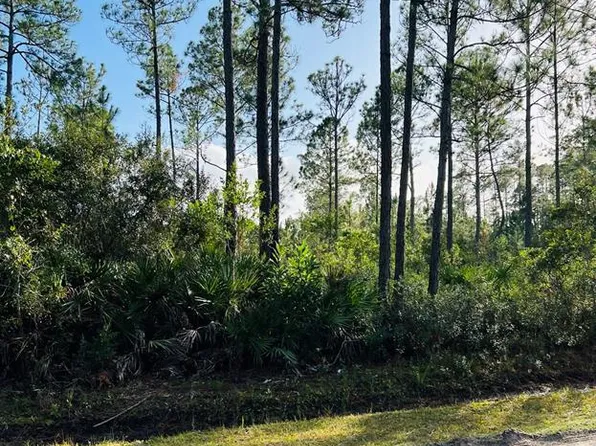 5513 Nutwood Ave #15, Bunnell, FL 32110