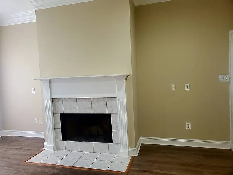 107 Olive Vista Dr — Photo 8