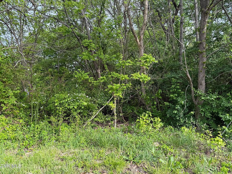2nd image of Reedy Creek Rd