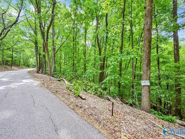 LOT 13 Mill Creek Rd, Falkville, AL 35622