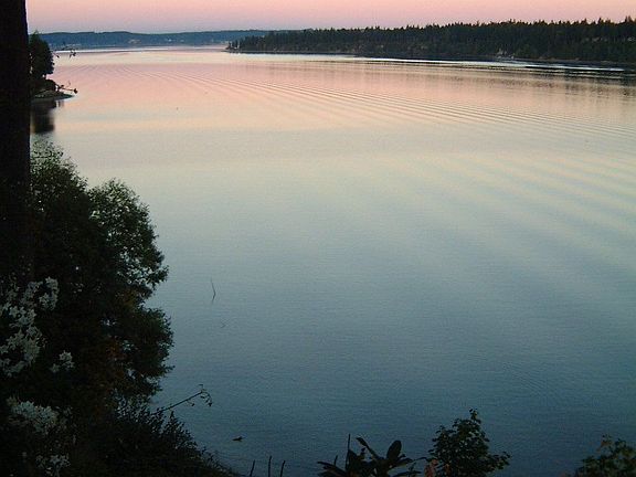 View from the house looking North up Pickering Passage