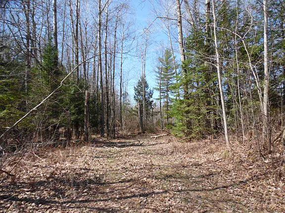 2nd image of N18419 Woodland Ln