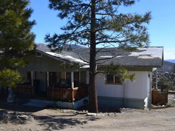 1255 Slate Rd, Wellington, NV 89444