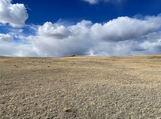 305 Badger Lane, Hartsel, CO 80449