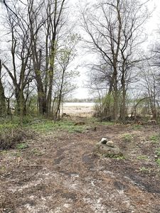 11365 Platt Ave SW, Cokato, MN, 55321