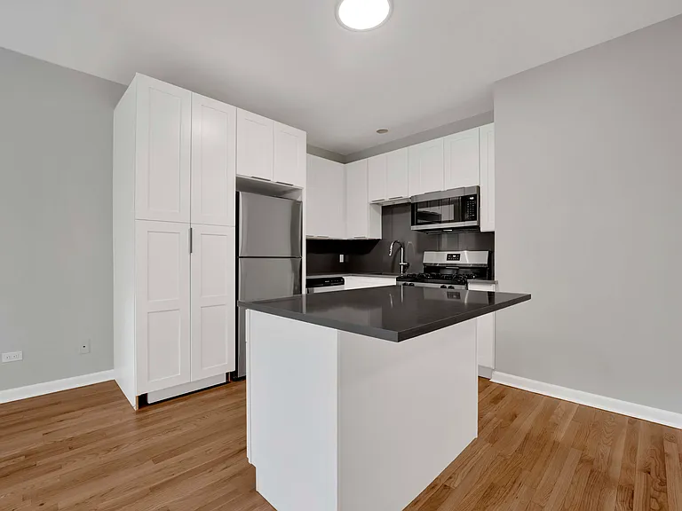 2456 N Hamlin Ave #2S — Photo 10