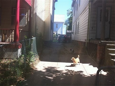 2nd image of 183 Greenwich Ave
