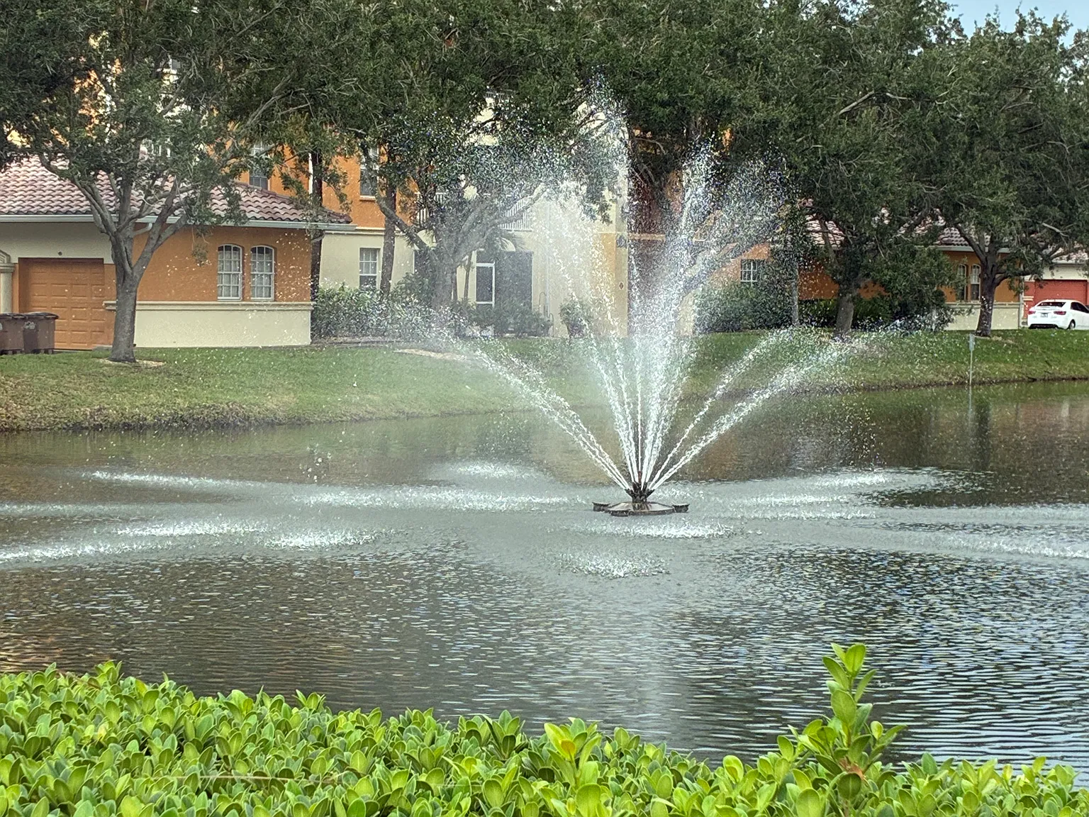 2 bed, 1270 sqft, $3,250 — Photo 2