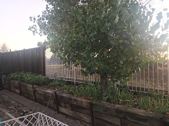 Backyard Garden Area