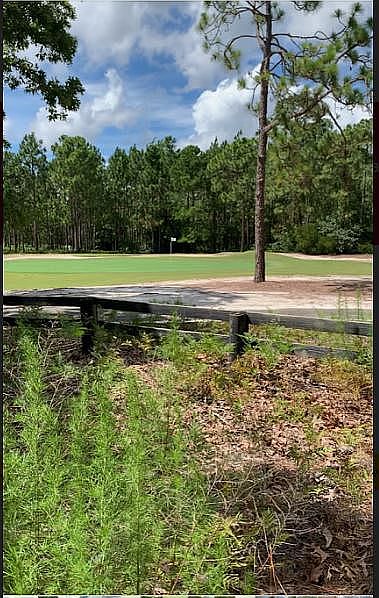 overlooking the 14th Green