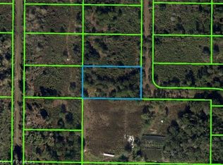 1056 S Hadl Rd, Avon Park, FL 33825