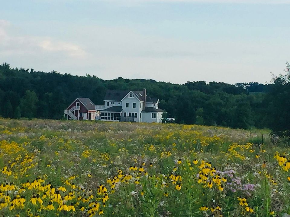 19.8 Acres with Woods, Stream & Open Field Planted with Natural Grasses & Wildflowers
