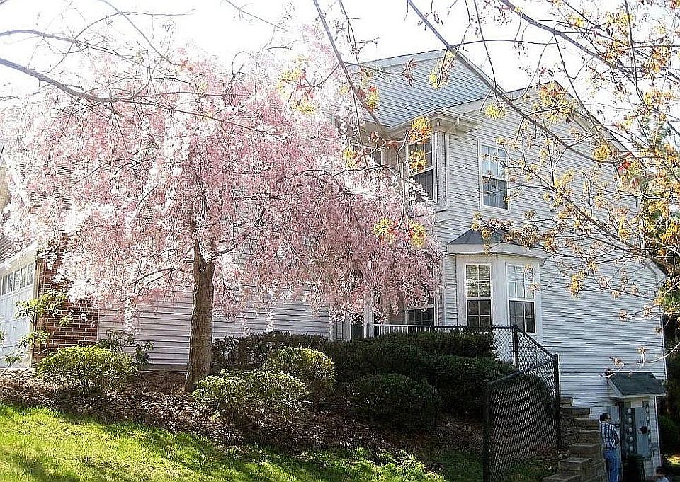 1st image of 115 Sheffield Ct #115