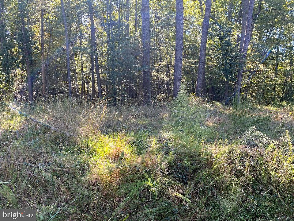 2nd image of Petes Hill Rd