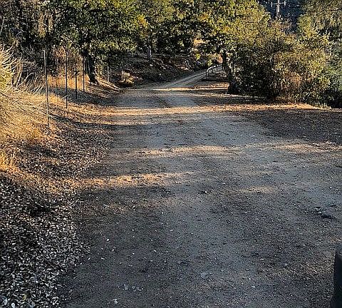 Driveway in
