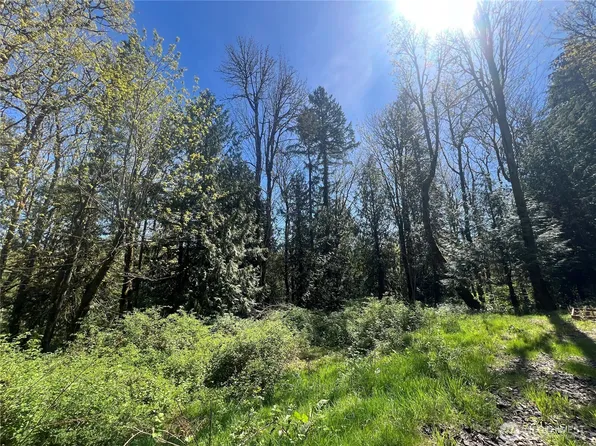 0 Phillips Road SE, Port Orchard, WA 98366