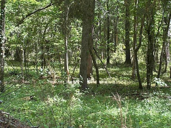 4th image of 0 Thicket Ln