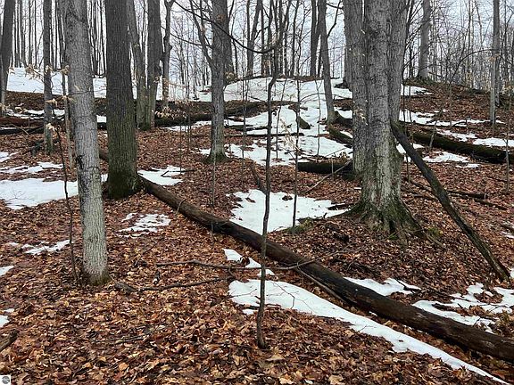 2nd image of 0 Torch Lake Dr