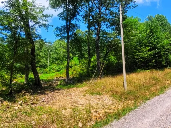 Browns Holler, Spring City, TN 37381