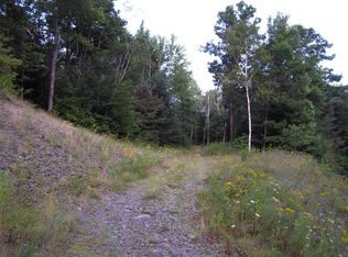 190 McCarthy Rd, Schenevus, NY 12155