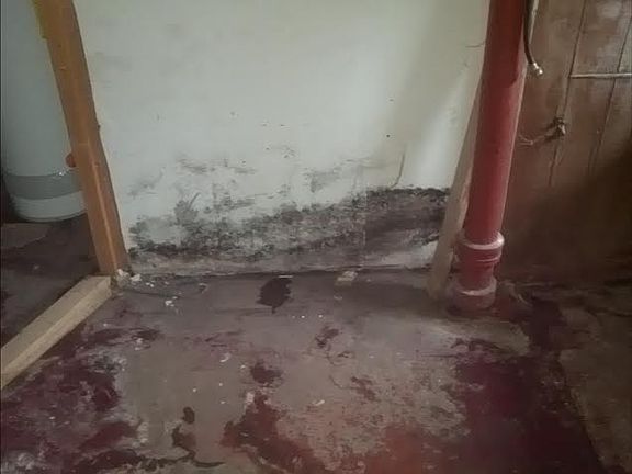 2nd image of 311 Franklin St