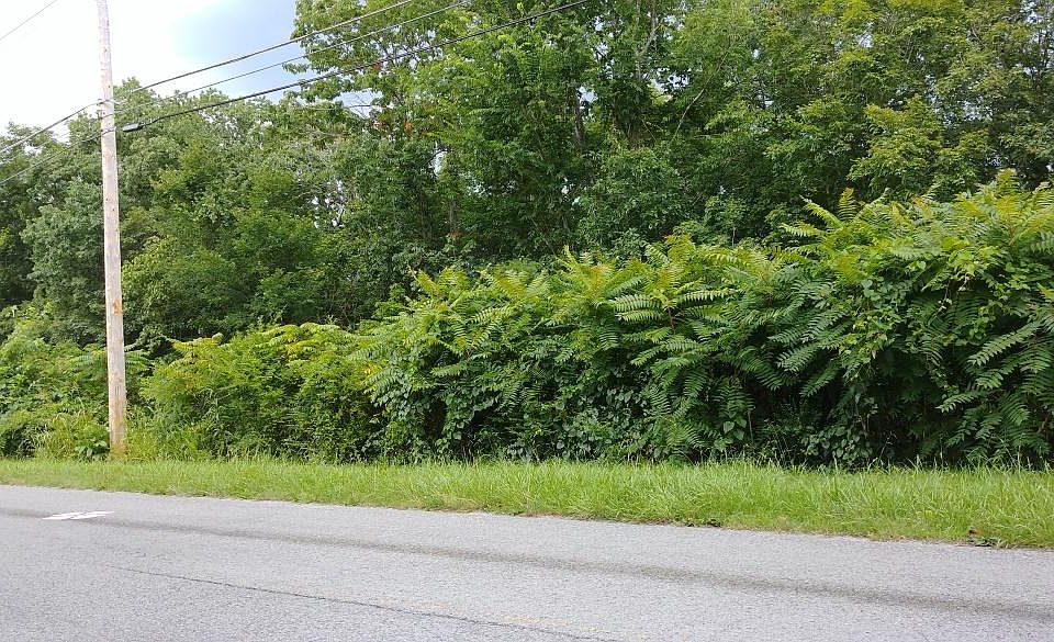 2nd image of 417 Claiborne Rd