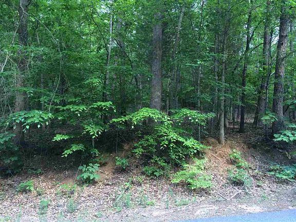 3rd image of 524 Bonanza Dr