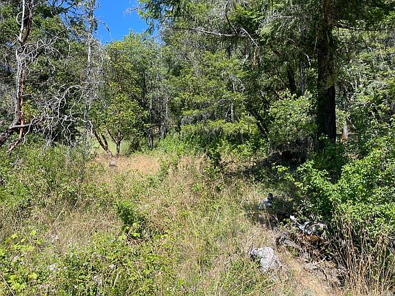 5th image of 25411 Madrone Dr