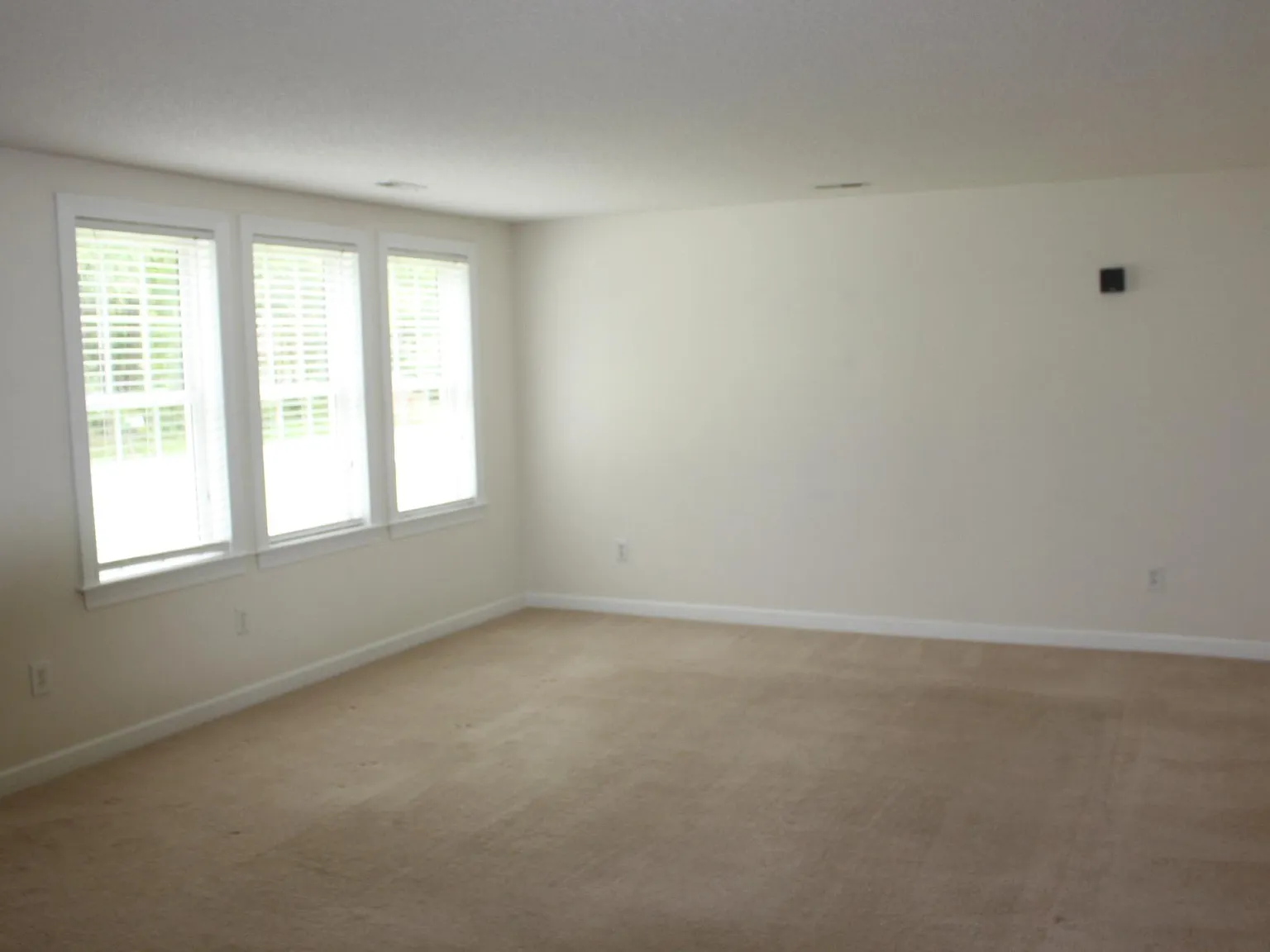 149 Creek Rd — Photo 4