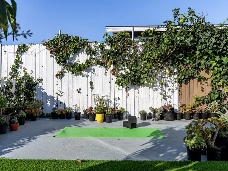 Ridge View Dr — Photo 37