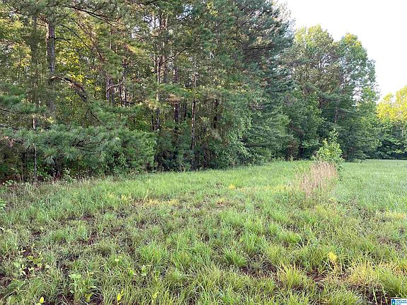 2nd image of 0 County Road 612 #13
