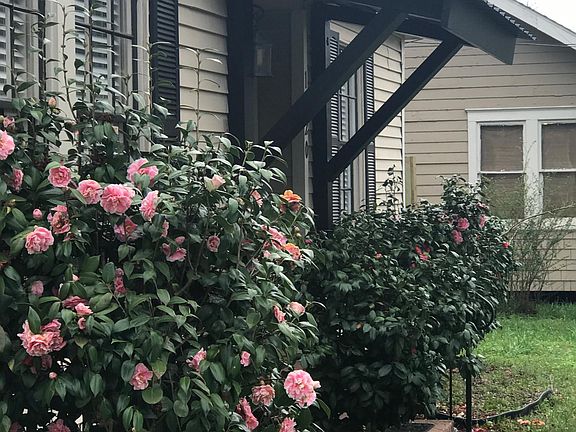 3rd image of 1320 Central Dr