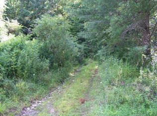 124 Boga Memory Ln, Topton, NC 28781