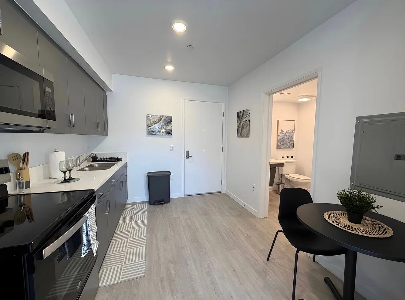 1 bed, 347 sqft, $1,263 — Photo 2