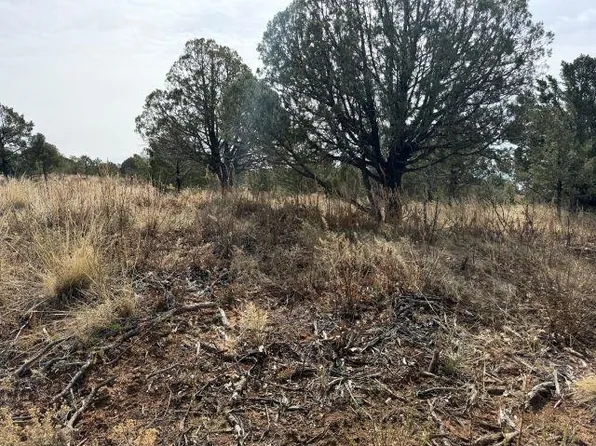 65 Lakewood Dr, Cloudcroft, NM 88317