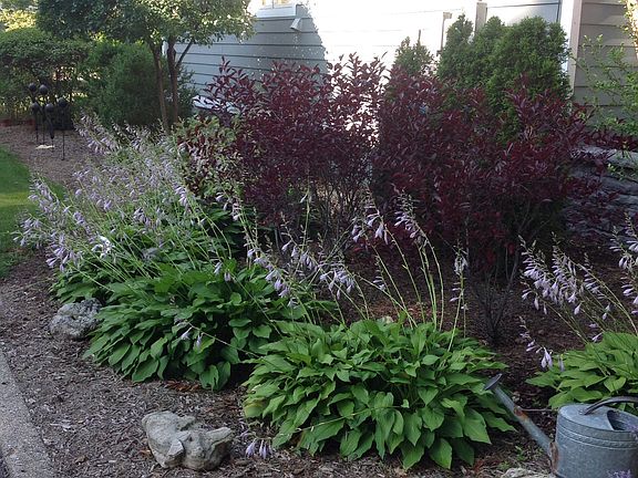 Side Garden