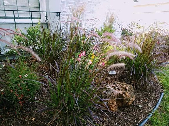 3rd image of 4059 Calavera Dr