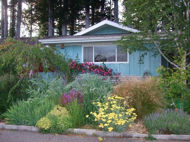 front yard