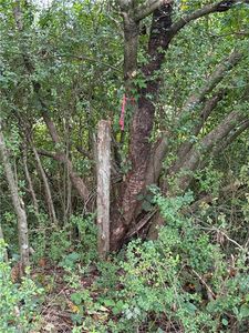 LOT 3 Ruff Hollar Dr Lot 3, East Bend, NC, 27018